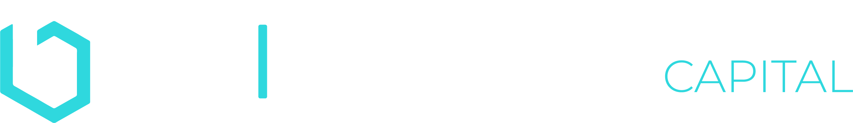BG Infinity Capital