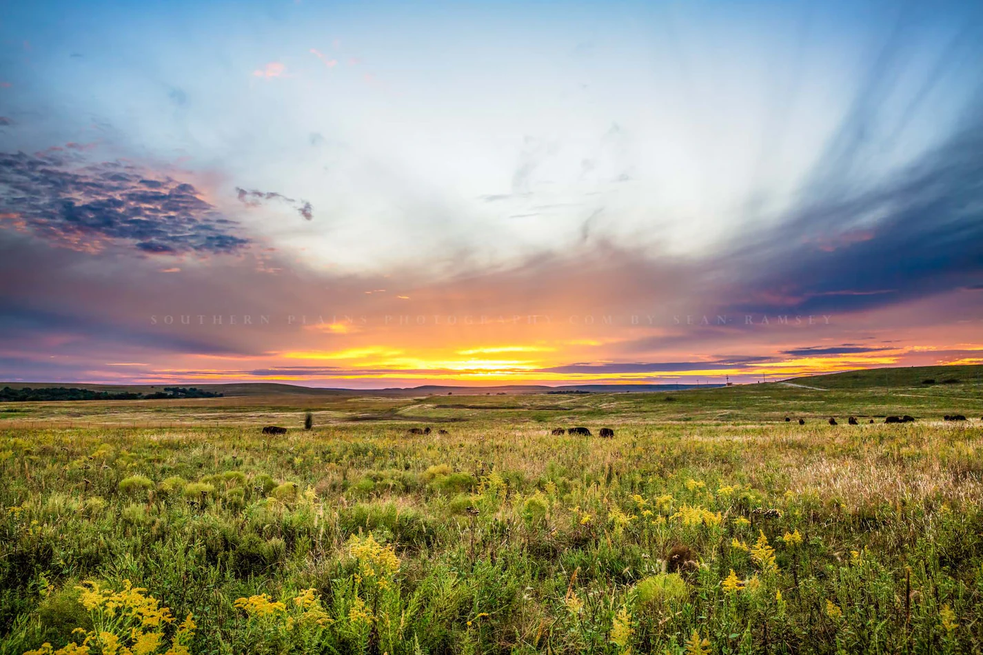 Tallgrass Prairie — Oklahoma landscape